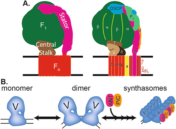 Fig. 3