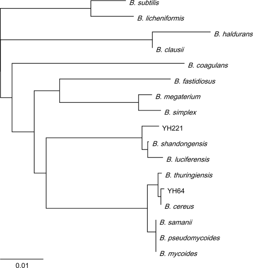 FIG. 1.