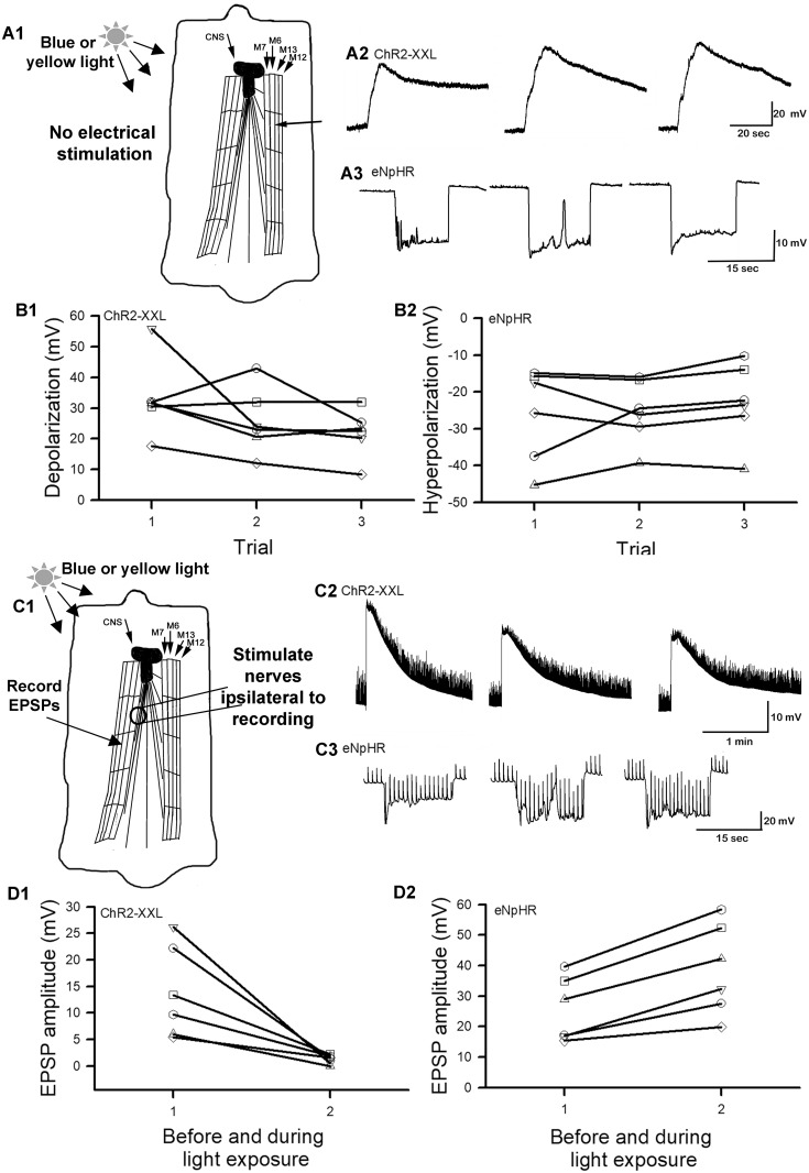 Fig 3