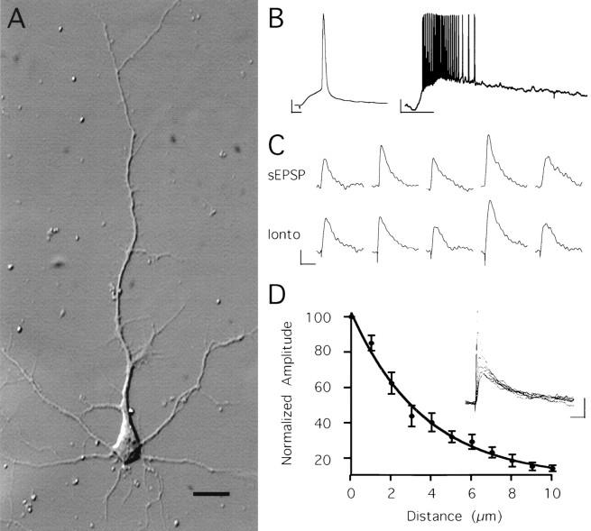 Fig. 1.