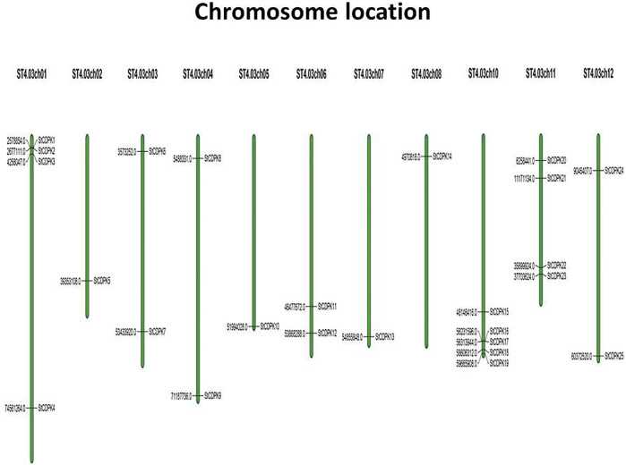 FIGURE 1