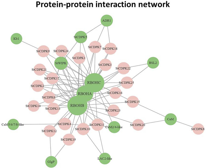 FIGURE 6