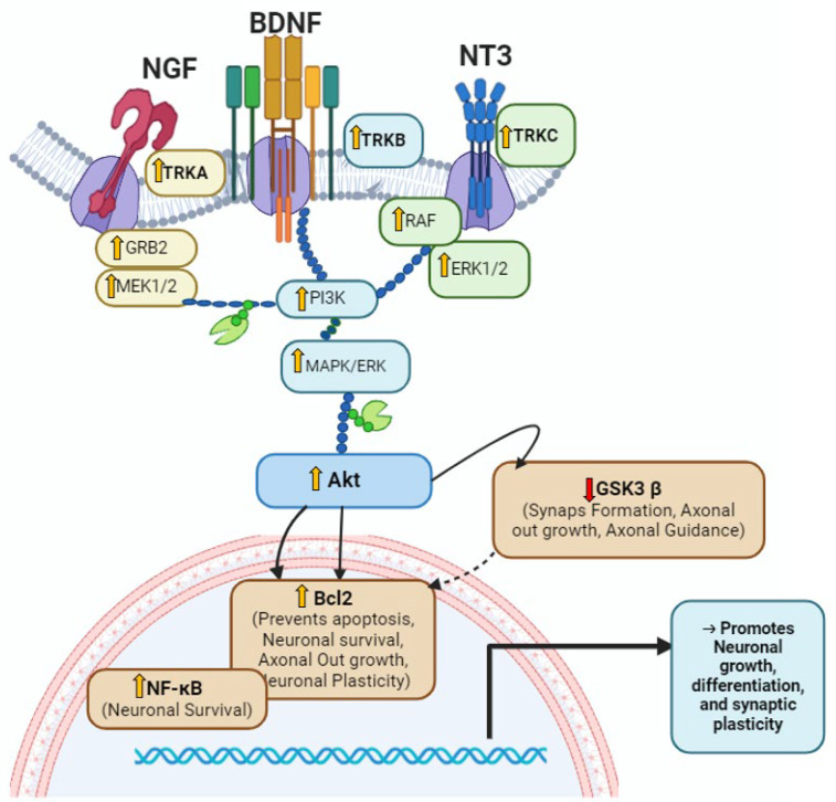 Figure 12