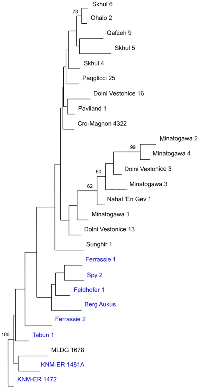 Fig 5