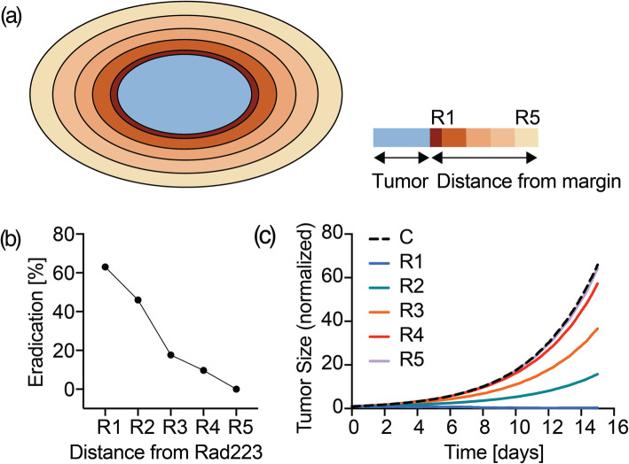 Fig. 16