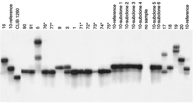 FIG. 1