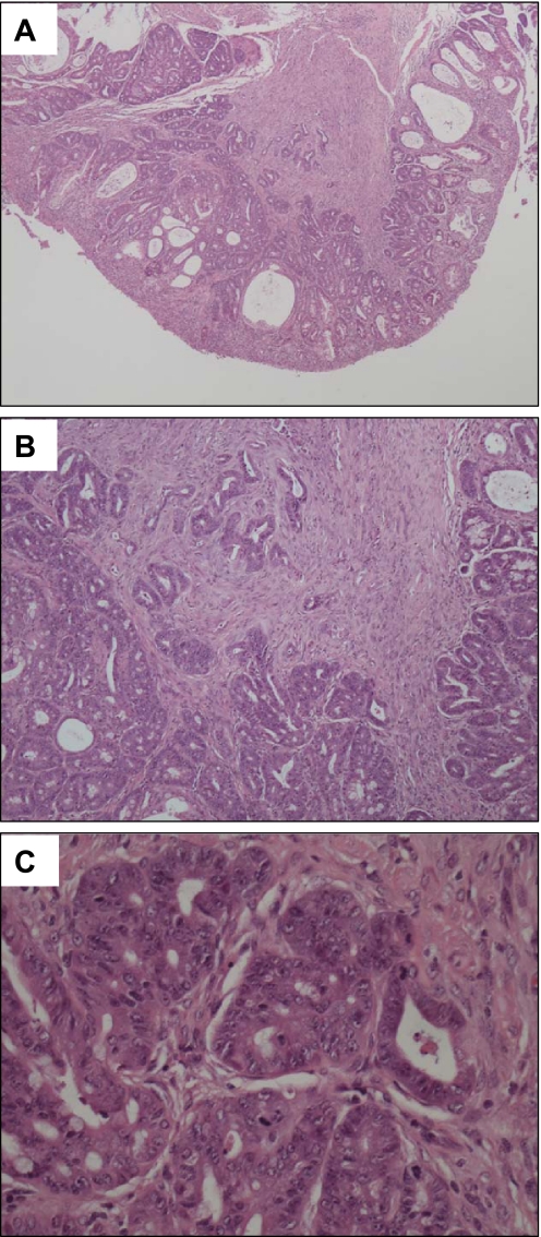 Fig. 6.