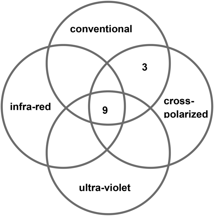 Fig. 2a