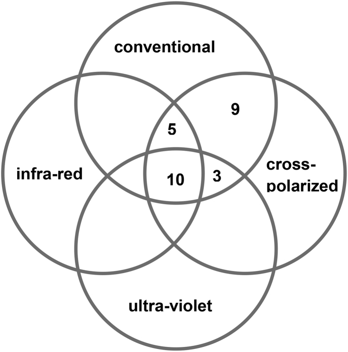 Fig. 2b