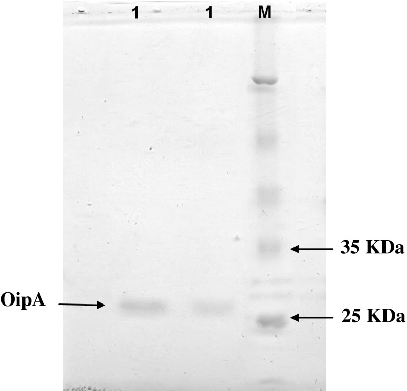 Fig. 3