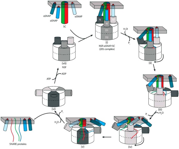 FIGURE 6.