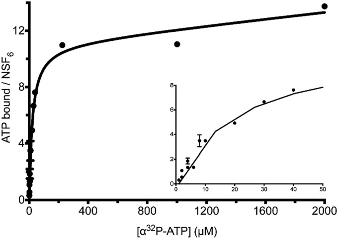 FIGURE 4.