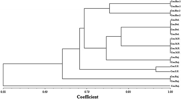 Fig. 4