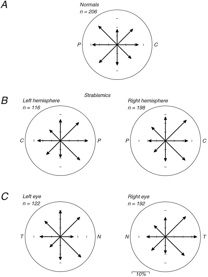 Fig. 10.