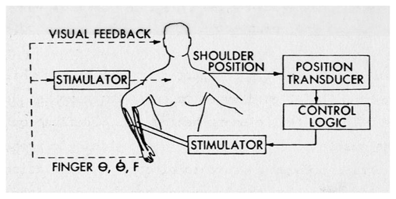 Fig. 5