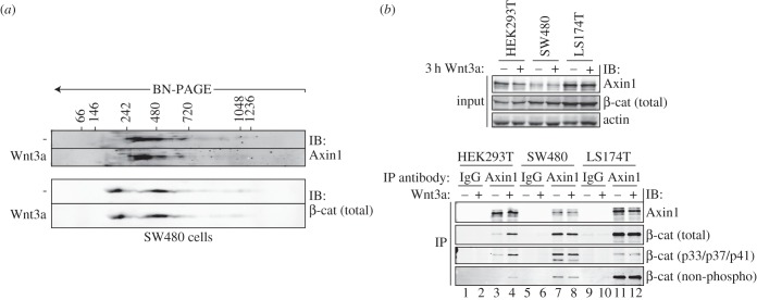 Figure 4.