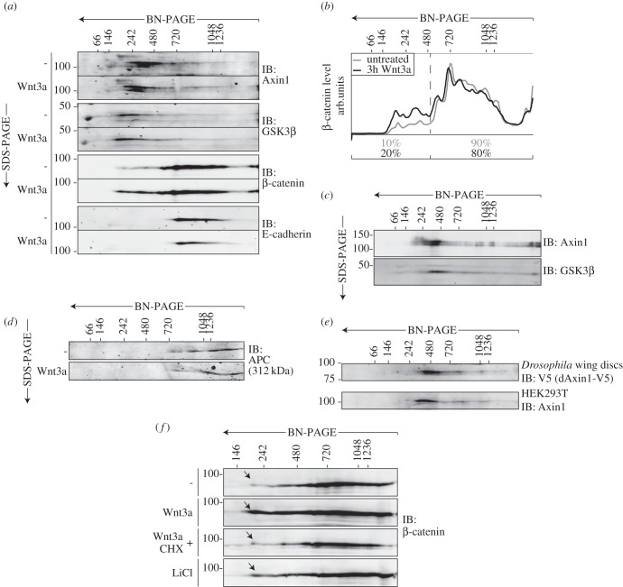 Figure 1.