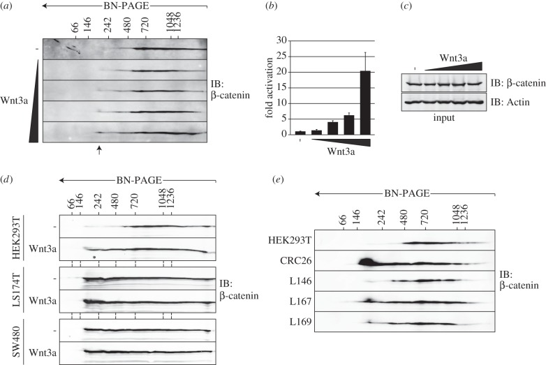 Figure 5.