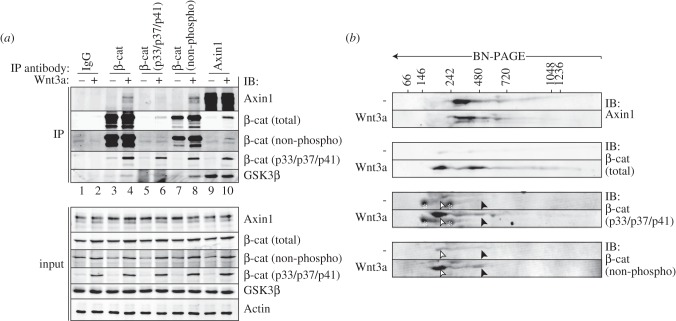 Figure 3.