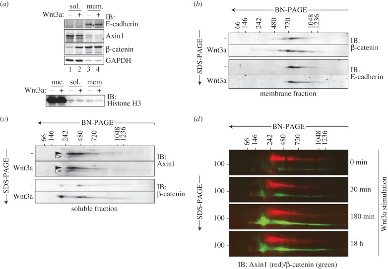 Figure 2.