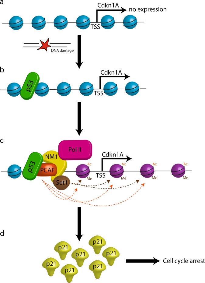 Fig. 6