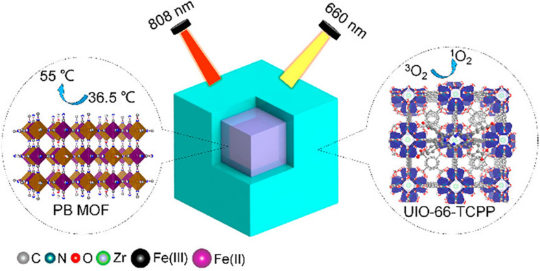 FIGURE 2