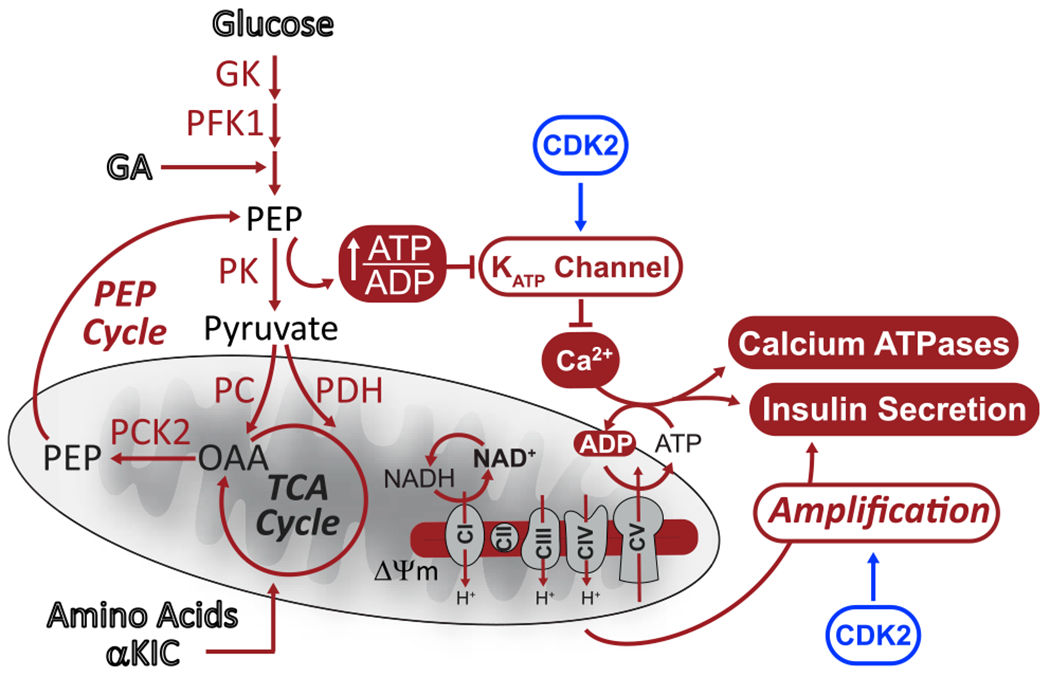 Figure 7.