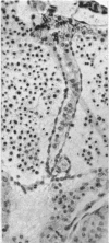 422-3