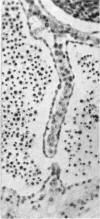 422-3