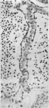 422-3