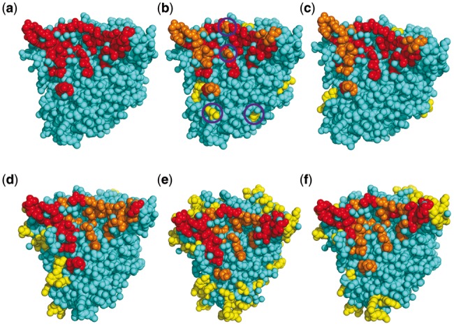 Fig. 9.