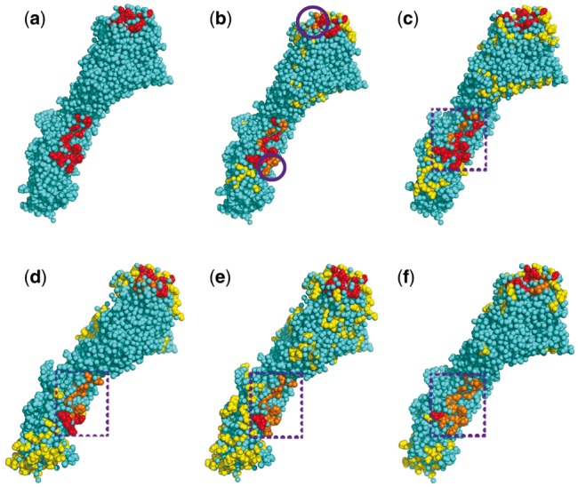 Fig. 10.