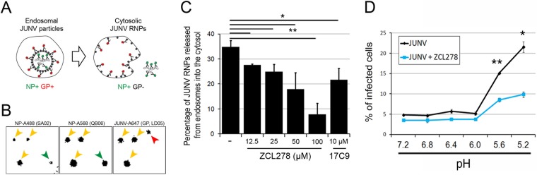 FIG 6