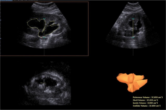 Fig. 6.