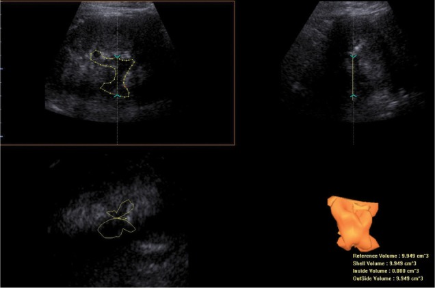 Fig. 4.