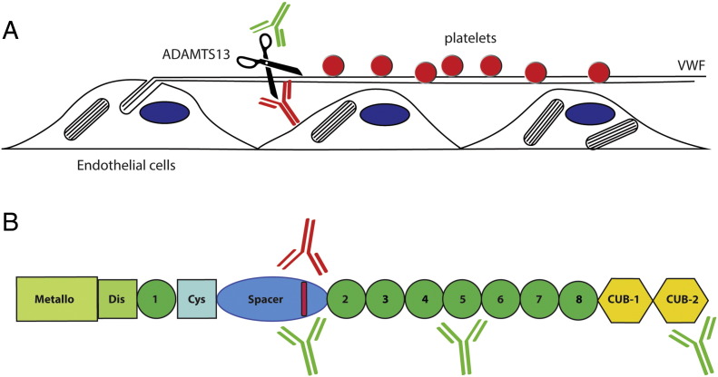 Fig. 1