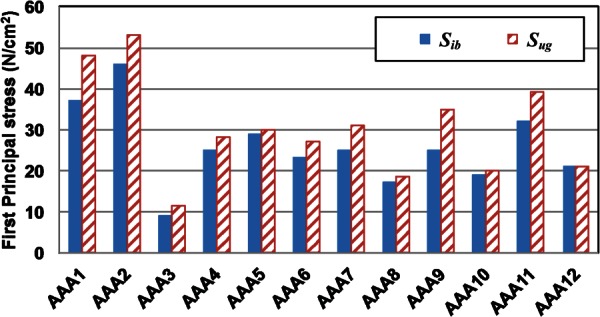 Fig. 10