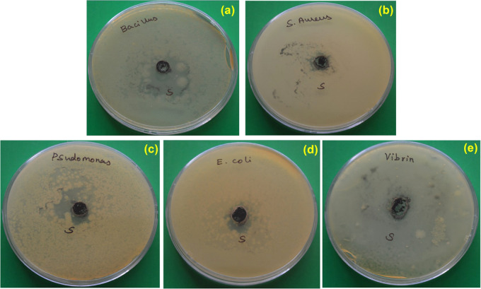 Figure 10