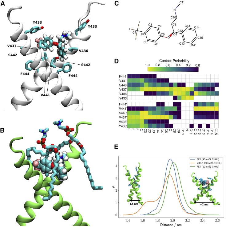 Figure 3