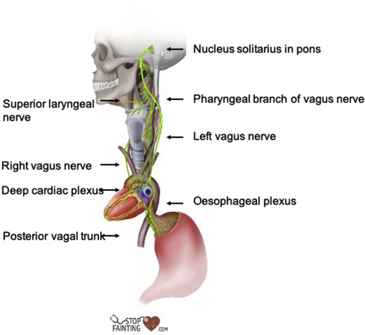 Figure 2