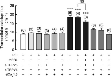 Fig. 4