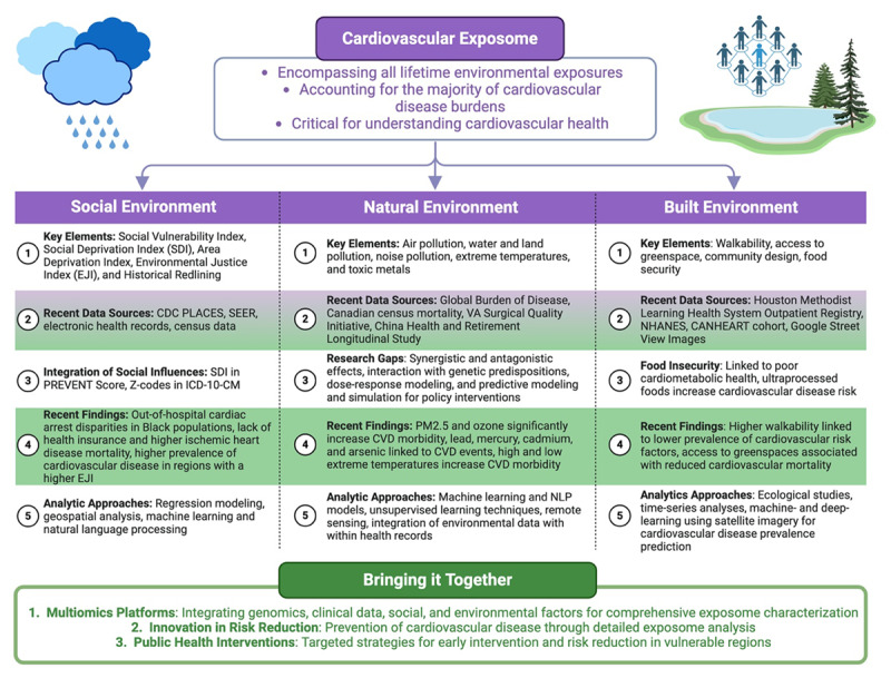 Overview of the cardiovascular exposome and its components