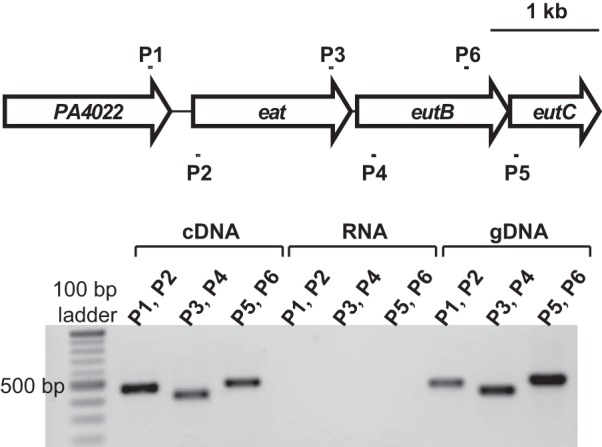 FIG 4