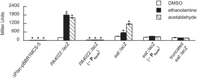 FIG 9