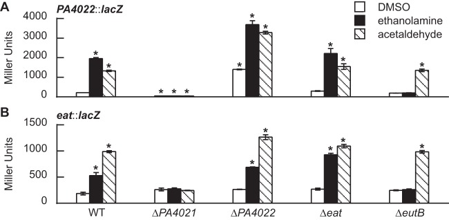 FIG 6