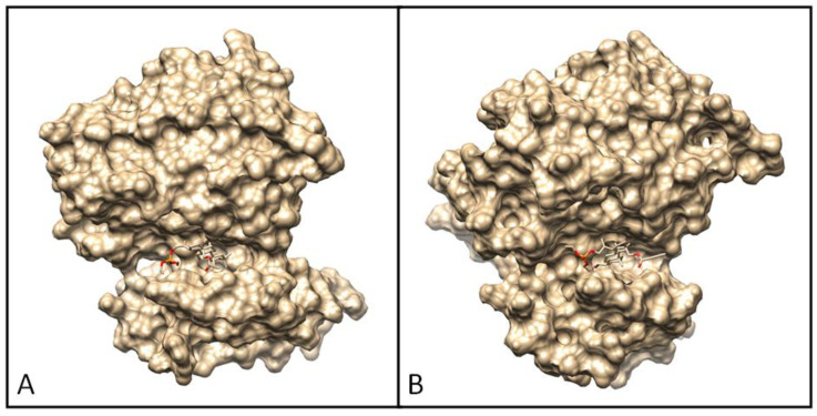 Figure 12