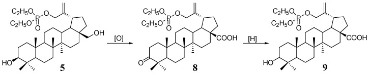 Scheme 2