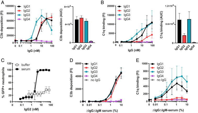 c1q-binding-to-surface-bound-igg-is-stabilized-by-c1r2s2-proteases-pmc