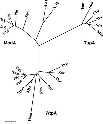 FIG. 4.