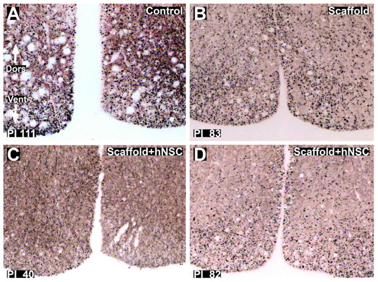 Fig. 10